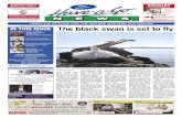 The black swan is set to fly - Have a Go News