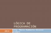 2.- Lógica de programación
