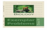 Biology Exemplar Problems - Pioneer Mathematics