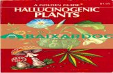 Hallucinogenic Plants a Golden Guide - baixardoc