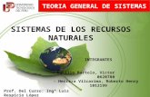 SISTEMAS DE LOS RECURSOS NATURALES
