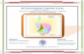DETAILED PROJECT REPORT (D.P.R.)