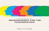 Peacebuilding Needs