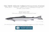 2020 ASEF Program and Abstracts.pdf - Atlantic Salmon ...