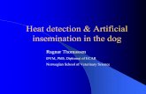 Heat detection & Artificial insemination in the dog