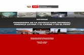 Acuicultura Muncial ALC y Perú - Sistema de Información ...