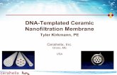 DNA-Templated Ceramic Nanofiltration Membrane - Produced ...