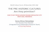 GUNUNG PADANG : THE PRE-HISTORIC CULTURES Are they primitive?