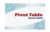 Excel 2003 Excel 2003 Pivot Table Pivot Table