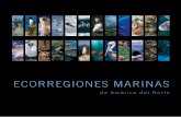 Ecorregiones marinas de América del Norte - Commission for ...