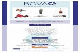 two day auction - The BCVA