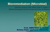 Bioremediation (Microbial) - Lucknow University