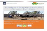Investment Opportunities in the Moroccan Dairy Sector
