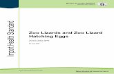 Zoo Lizards and Zoo Lizard Hatching Eggs - Ministry for ...