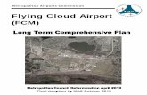 Professional Report - Metropolitan Airports Commission