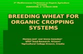 Breeding wheat for organic cropping system