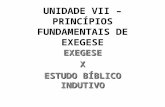 UNIDADE VII PRINCIPIOS FUNDAMENTAIS DE EXEGESE