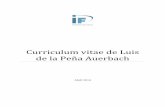 Curriculum vitae de Luis de la Peña Auerbach - STUNAM