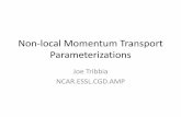 Non-local Momentum Transport Parameterizations
