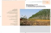 Mappinig land suitability at worldwide scale for fuelwood plantations