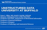 unstructured data university at buffalo