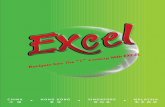 質素,是劳們志鴻科技的傳統精神。 - Excel Technology