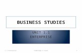 1 .1 Enterprise