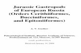 Jurassic gastropods of European Russia (orders Cerithiiformes, Bucciniformes and Epitoniiformes)