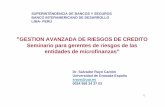 "GESTION AVANZADA DE RIESGOS DE CREDITO Seminario para gerentes de riesgos de las entidades de microfinanzas"