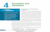 Perception and Attribution - Sage Publications