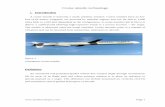 Cruise missile technology - Pragyan
