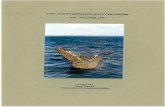 Port Albert Shipwrecks Survey Fieldwork Report: April 1995