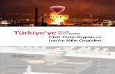 Türkiye'ye - Defence Turk