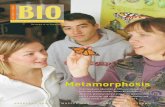 Metamorphosis - College of Biological Sciences |