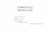 Community detection and comparative algorithms