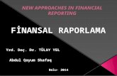 NEW APPROACHES IN FINANCIAL REPORTING