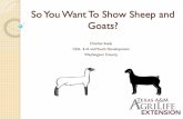 So You Want To Show Sheep and Goats?