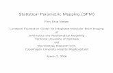 Statistical Parametric Mapping (SPM) - CiteSeerX