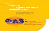 What Is Organizational Behaviour? - IPS Business School