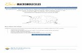 Dendrimers: Novel Polymeric Nanoarchitectures for Solubility Enhancement