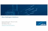 Blue Hydrogen Solutions - Global Syngas Technologies Council
