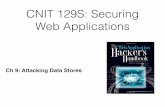 Ch 9: Attacking Data Stores