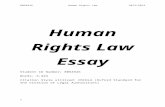 Human Rights Law Essay