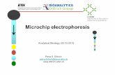 Microchip electrophoresis
