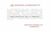 02BC2019I0068.pdf - EL CONTENIDO DE ESTE ARCHIVO ...