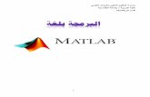 The MATLAB programming language