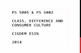 PS5005 Class difference consumer culture