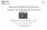 Animal Health Economics: Impact of Infectious diseases