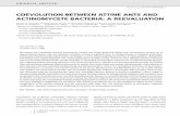 COEVOLUTION BETWEEN ATTINE ANTS AND ACTINOMYCETE BACTERIA: A REEVALUATION