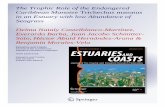 The Trophic Role of the Endangered Caribbean Manatee Trichechus manatus in an Estuary with low Abundance of Seagrass